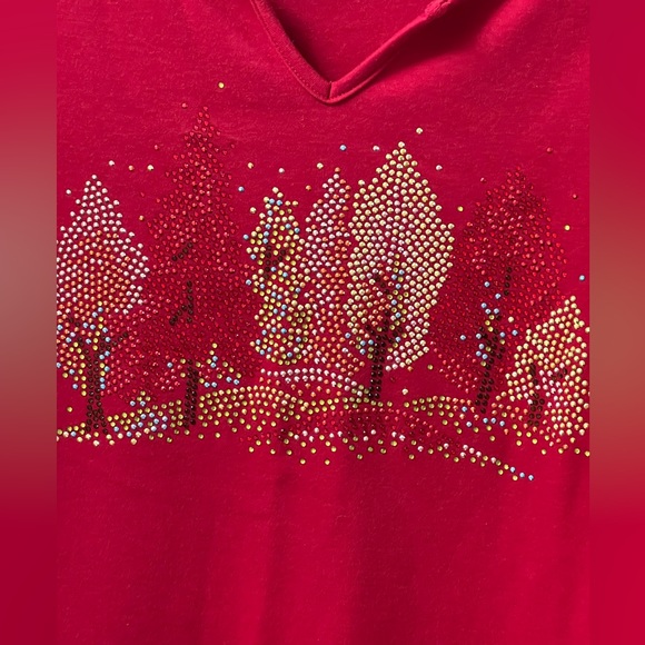 Quacker Factory NWOT 2X Fall Day Split Neck 3/4 sleeve top - Picture 3 of 9